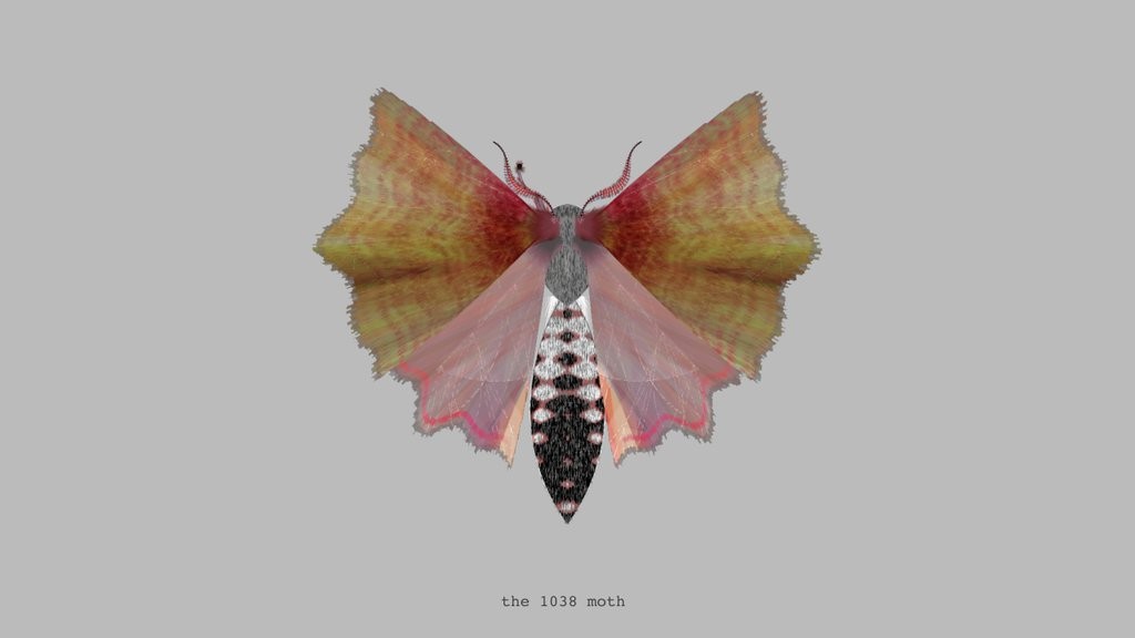 moth created by @mothgenerator